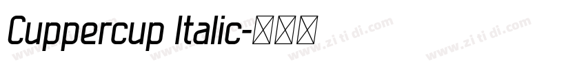 Cuppercup Italic字体转换